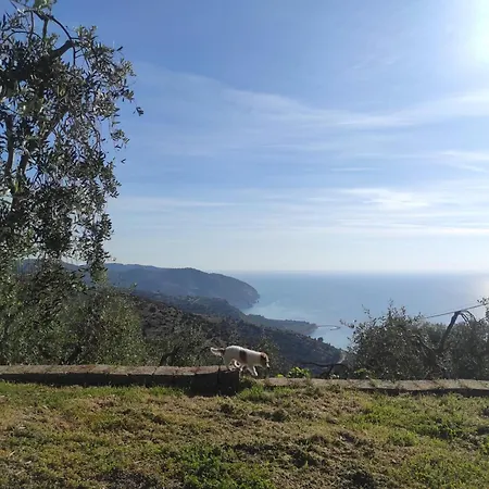 I Due Orizzonti Panzió Mattinata