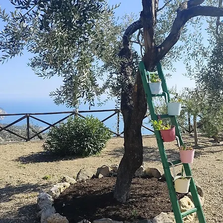 Bed and Breakfast I Due Orizzonti Mattinata