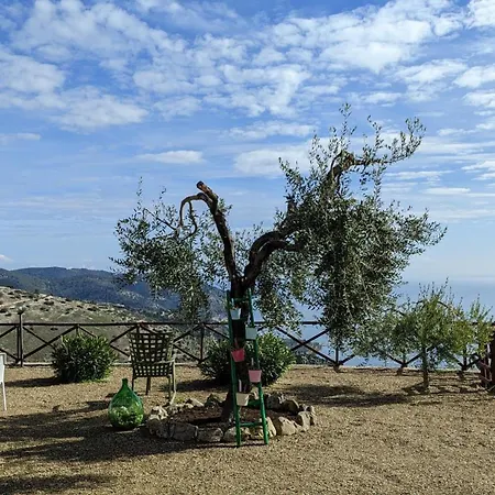 I Due Orizzonti Mattinata