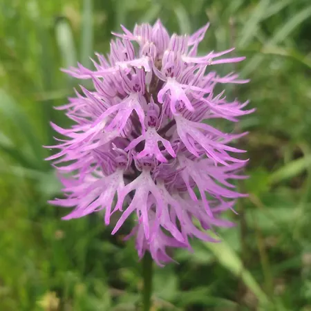 I Due Orizzonti Panzió