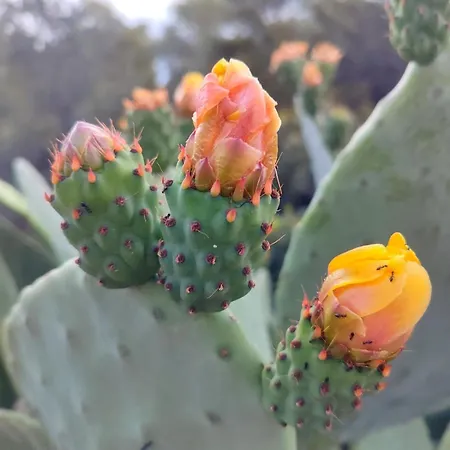 Bed and Breakfast I Due Orizzonti